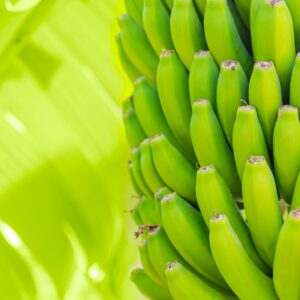 Raw Banana