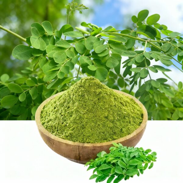 Moringa Powder